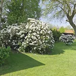 Nordsee Gulfhof 2 Mit Garten 60 Qm Apartment