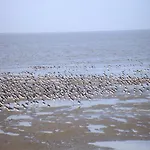 Nordsee Gulfhof 2 Mit Garten 60 Qm