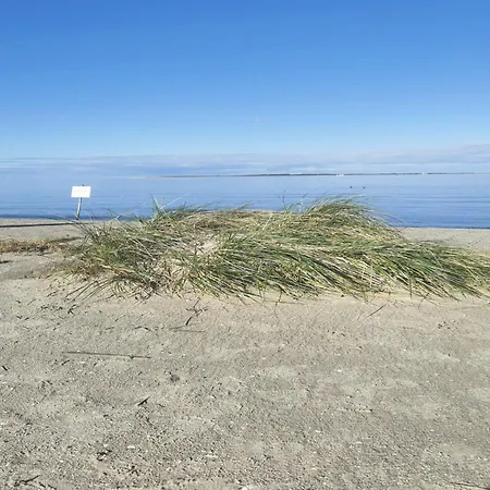 Nordsee Gulfhof 2 Mit Garten 60 Qm Dornum