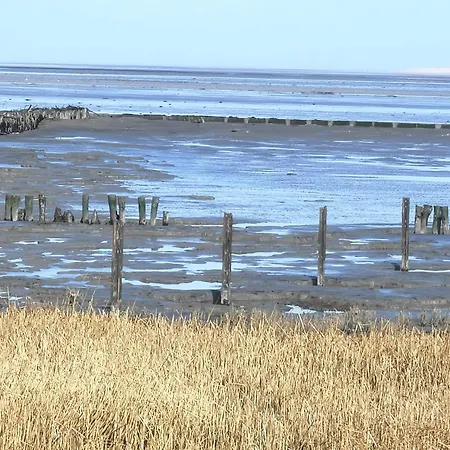 Nordsee Gulfhof 2 Mit Garten 60 Qm Apartmán Dornum